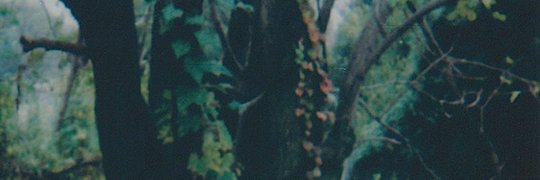 Kyle Avallone banner