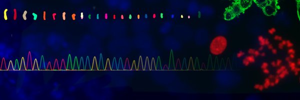 TheJaeLab Profile Banner