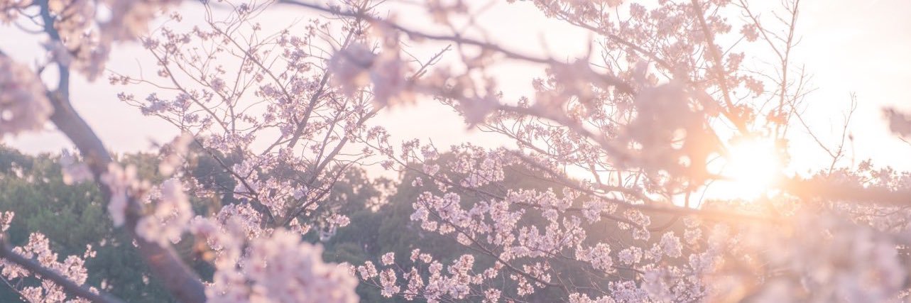 えすたそ❦ banner