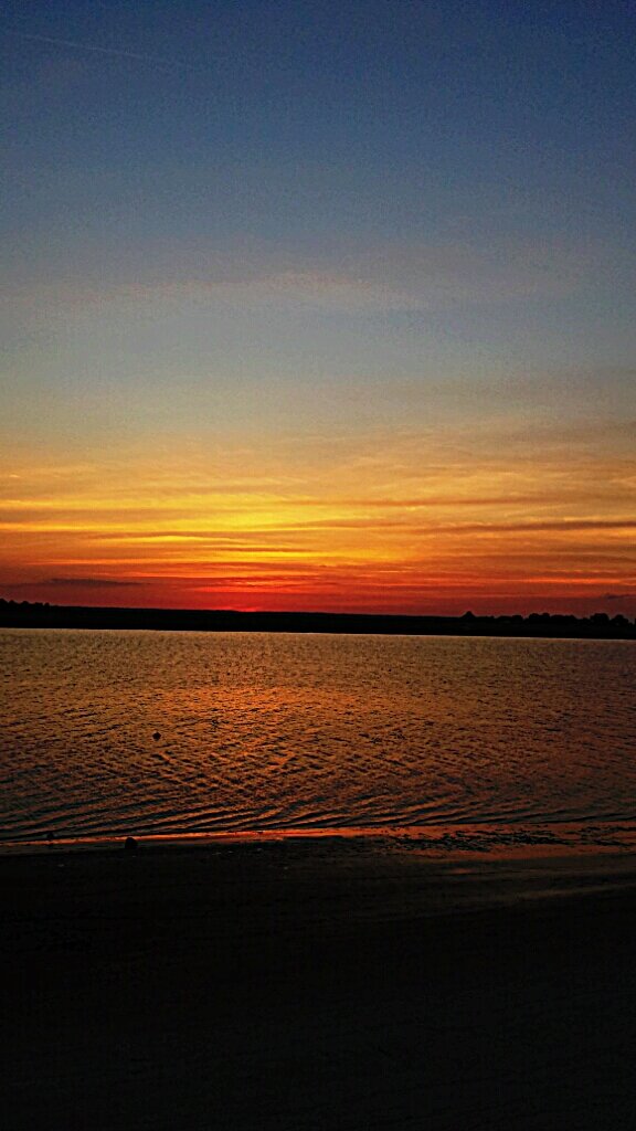 beachbum31328's profile banner image