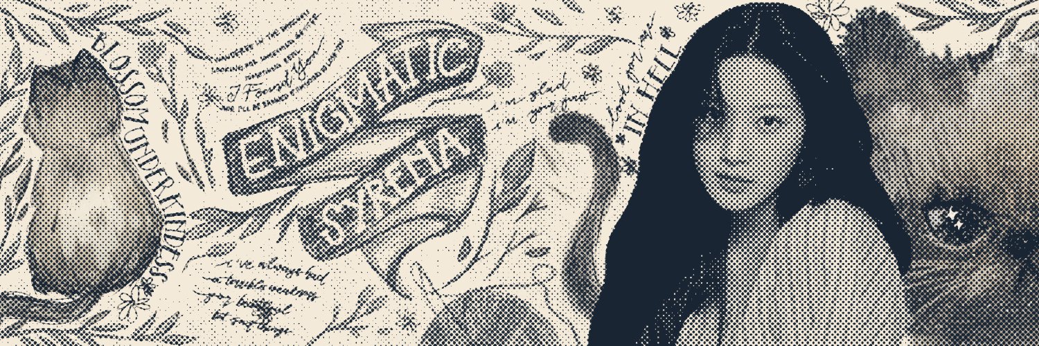 dakotashops's profile banner image
