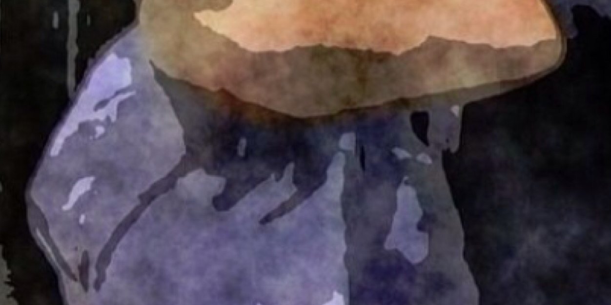 appleidd's profile banner image
