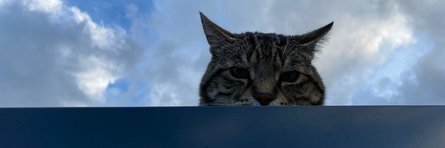 grahamkeogh's profile banner image