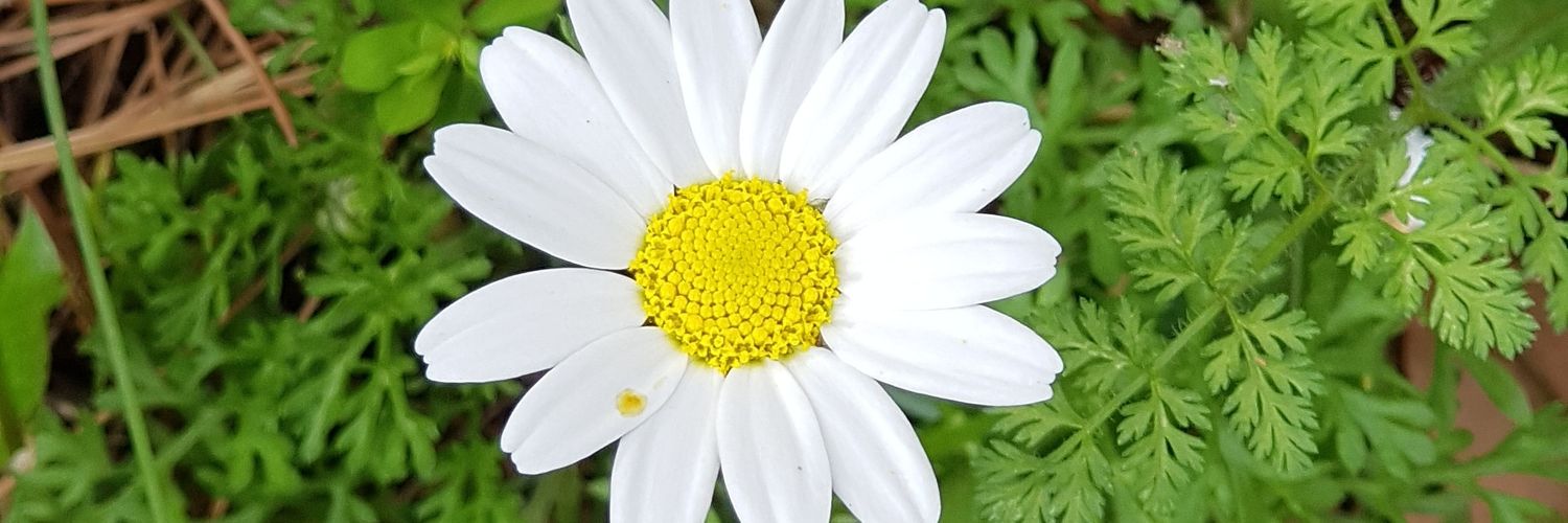 ozlem_vatan's profile banner image
