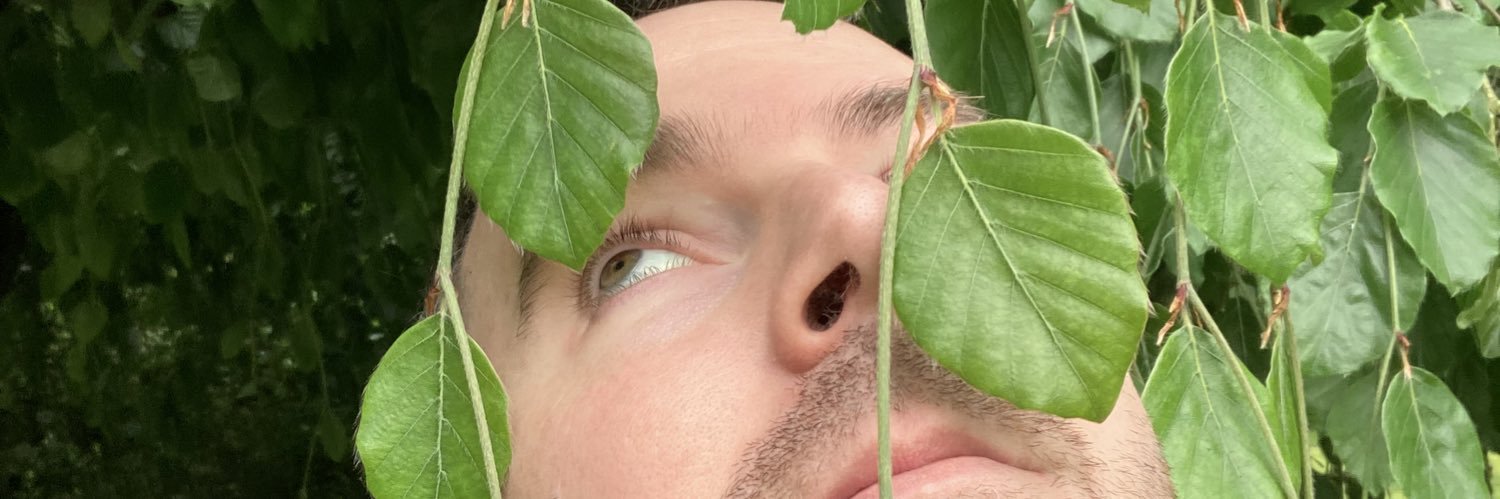 codingditto's profile banner image