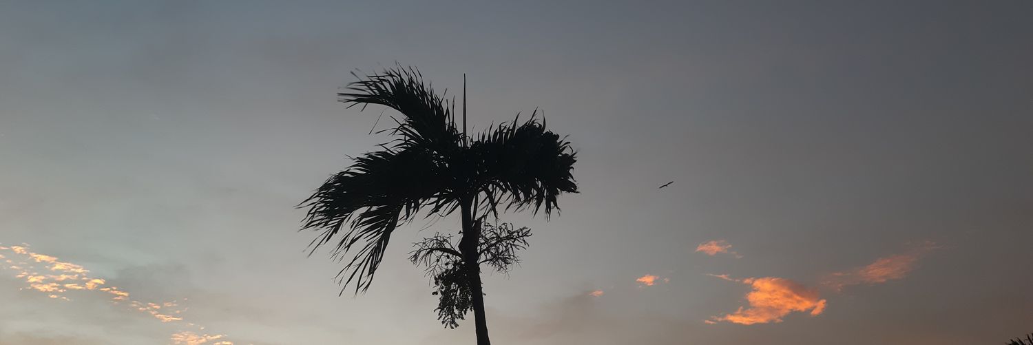 jvt_mch's profile banner image