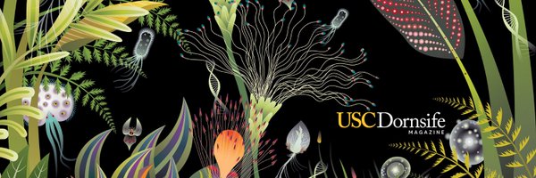USCDornsife Profile Banner