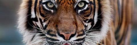 Luis_m_ramirez's profile banner image