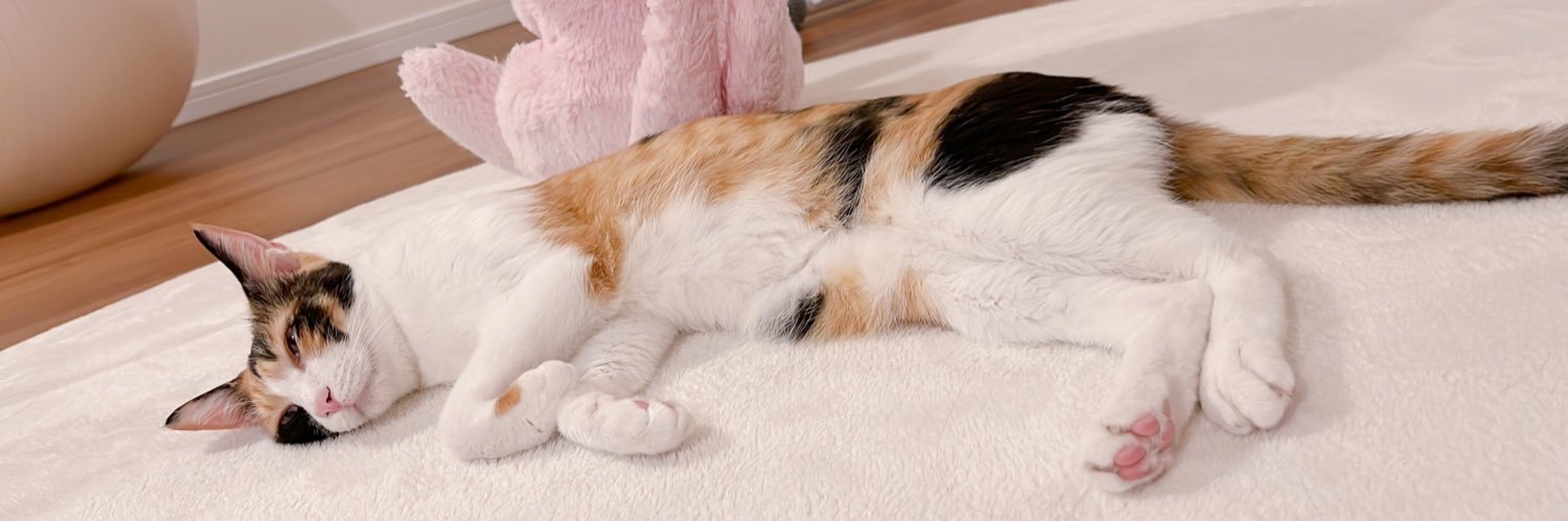 みなみと猫たち's banner
