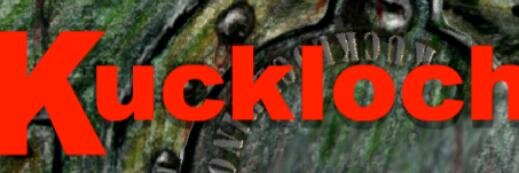 snutnose's profile banner image