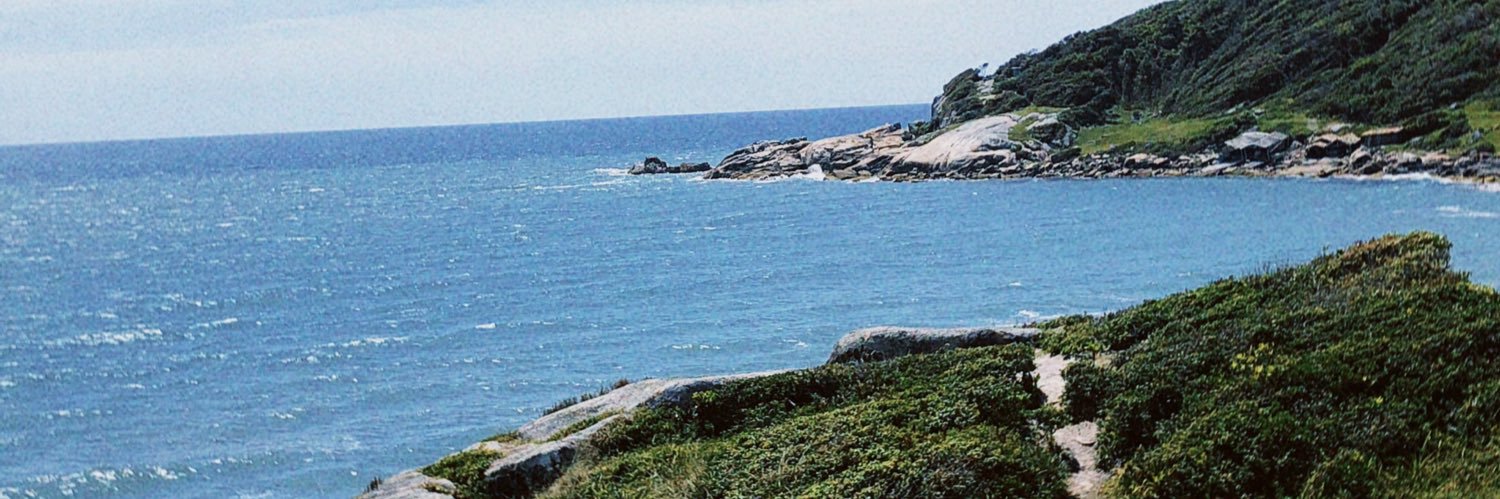 BeatrizzSilvaM's profile banner image