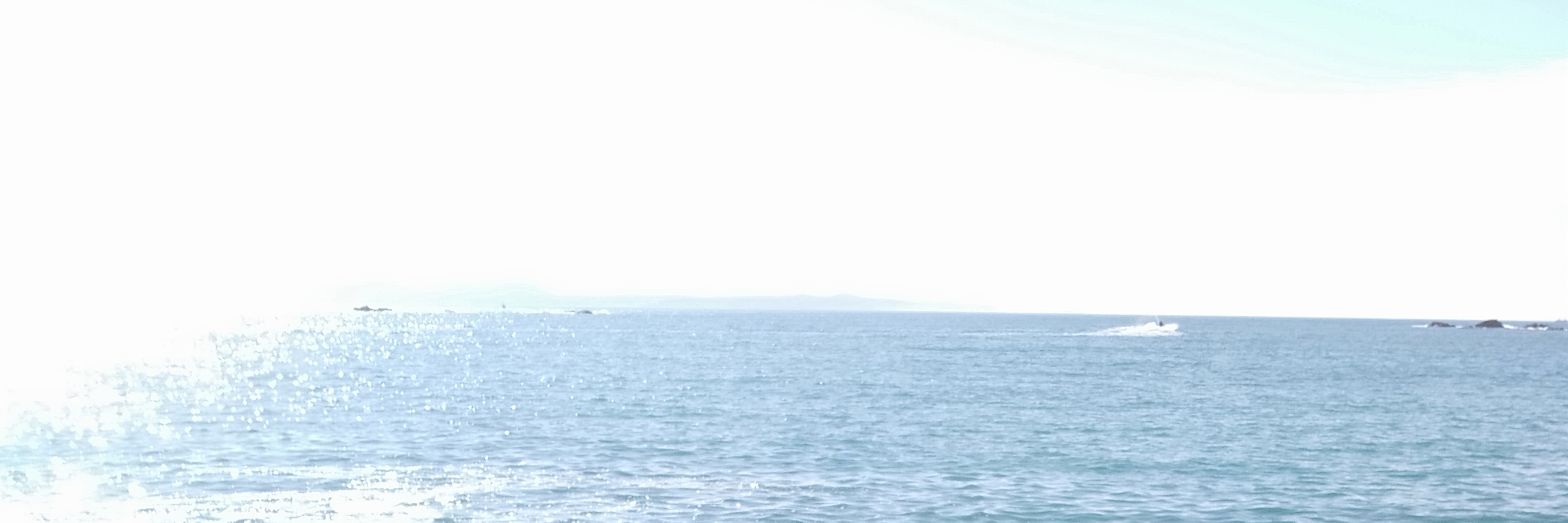 mgutierrez85's profile banner image