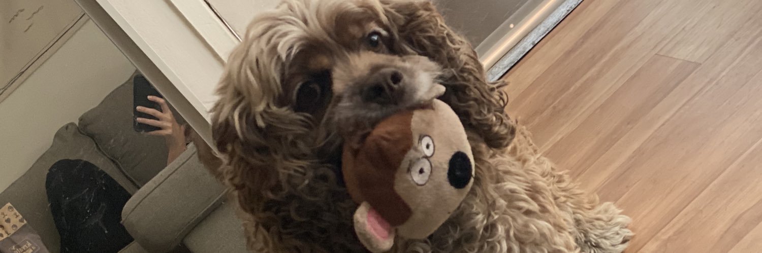 JAX💛❇️ banner