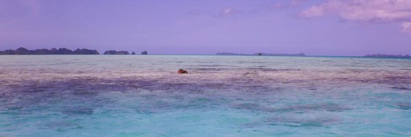 JessHenkens Profile Banner