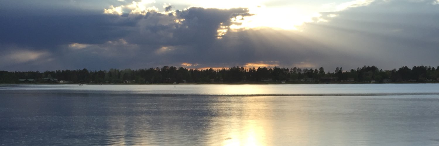 Minnesota Nice banner