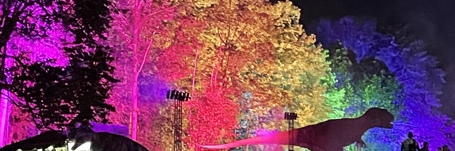 MAG3IS's profile banner image