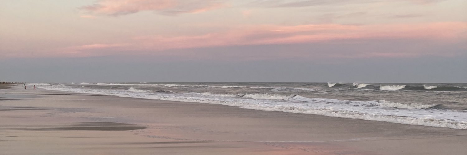 carmeerusca's profile banner image