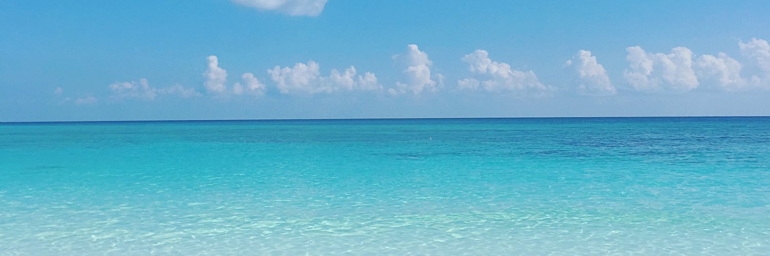 PlayenseC's profile banner image
