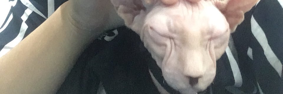 AzzhrVelia_'s profile banner image