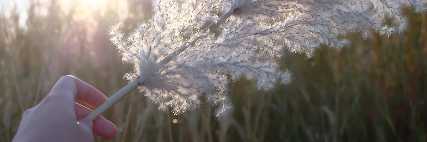 mintnmnk's profile banner image