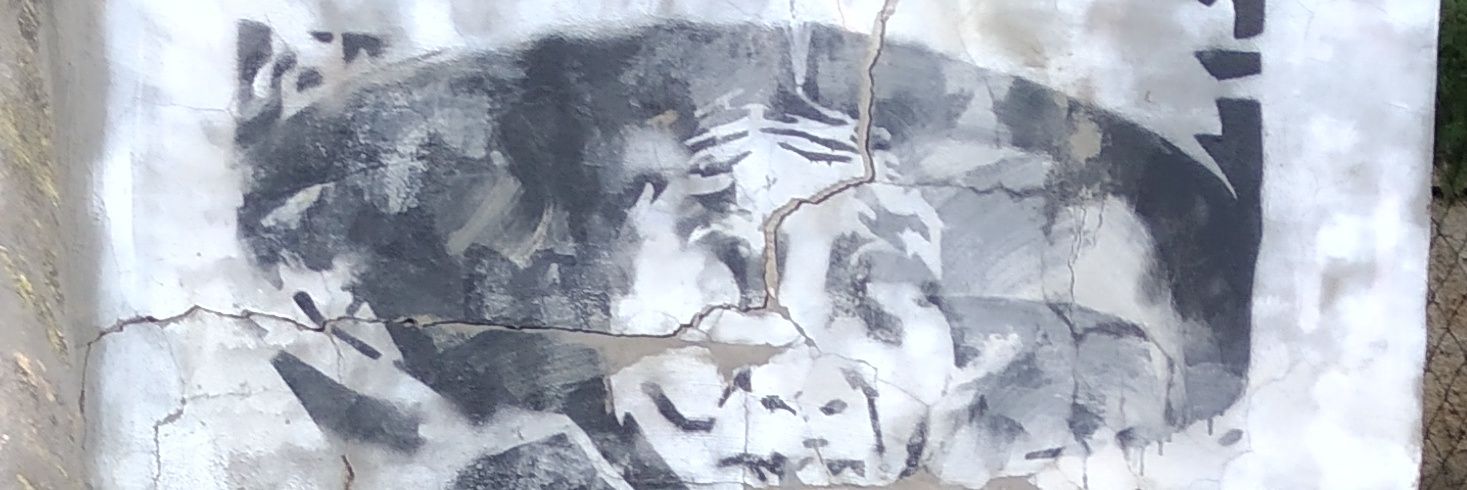 joseee1401's profile banner image
