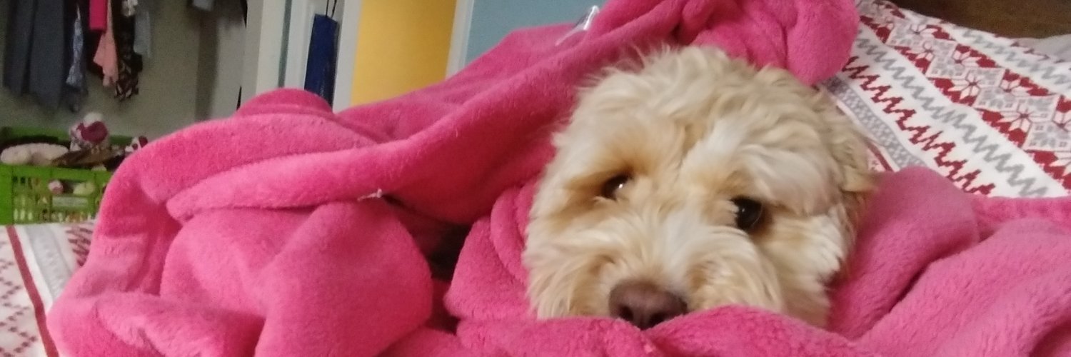 GetAtMeFools's profile banner image