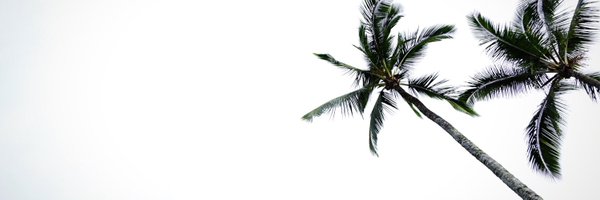 keisuke8081 Profile Banner