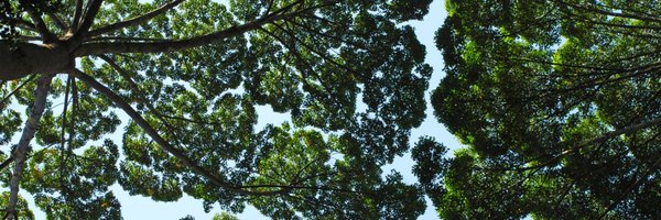 UNEP_pt Profile Banner