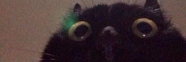nichaphapPage Profile Banner