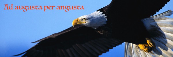 Silvie_Becquer's profile banner image