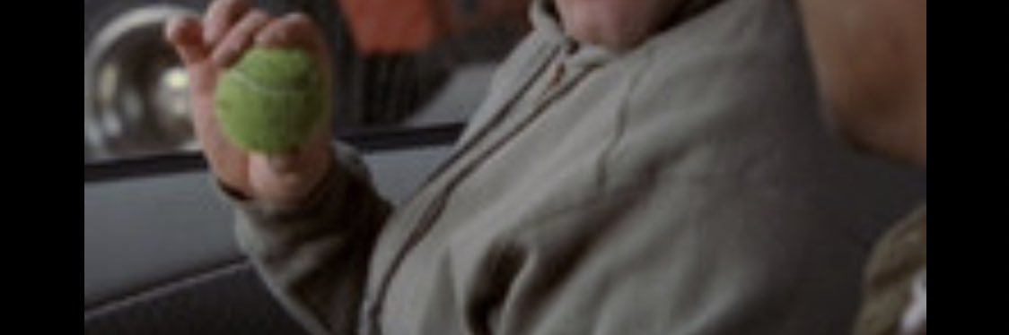 fuzzy dunlop banner
