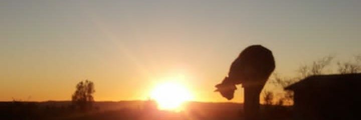 rommelario1981's profile banner image