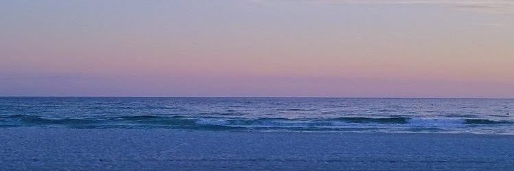 Delphinechen_'s profile banner image