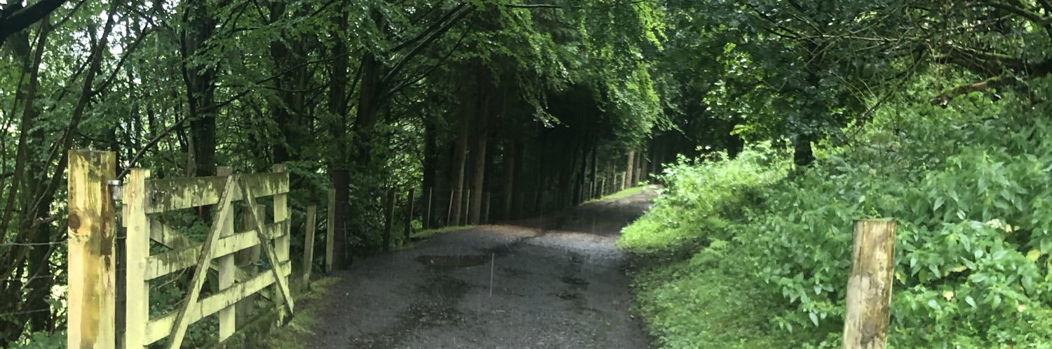 margieleev's profile banner image