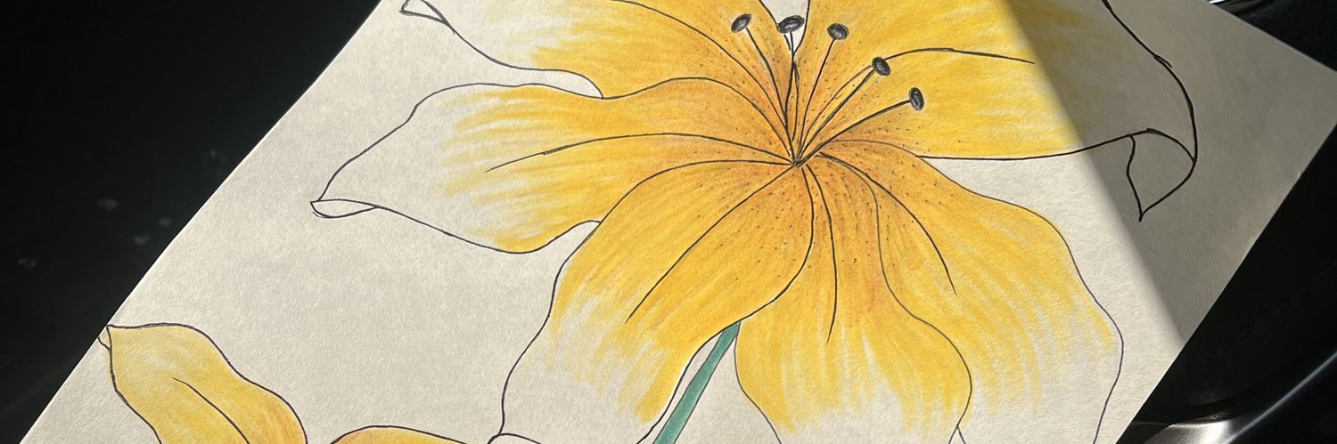 iSolidad's profile banner image