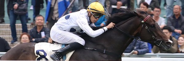 Vincenthocy Profile Banner