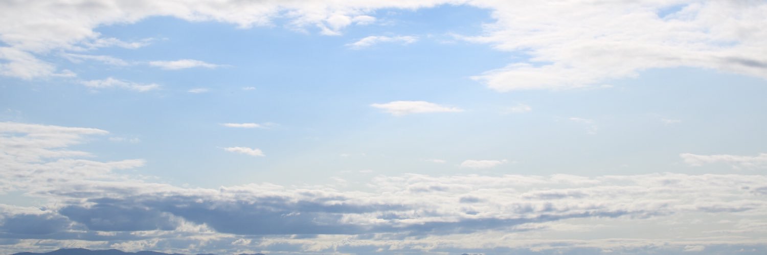 おすぎ's banner