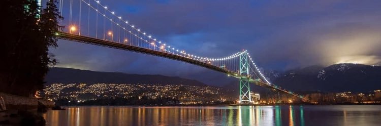 Bianca Foscht banner