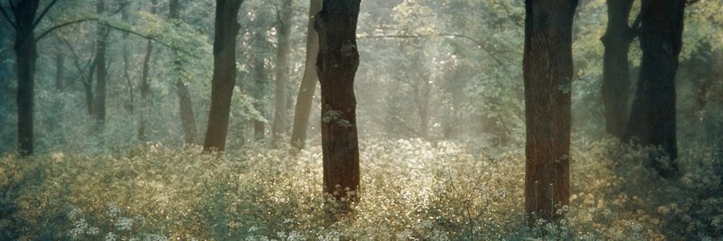EricavonEssen's banner