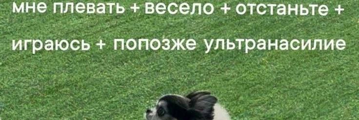 🌒персефона из сумеречной зоны🌔's banner