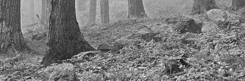 ali32777's profile banner image