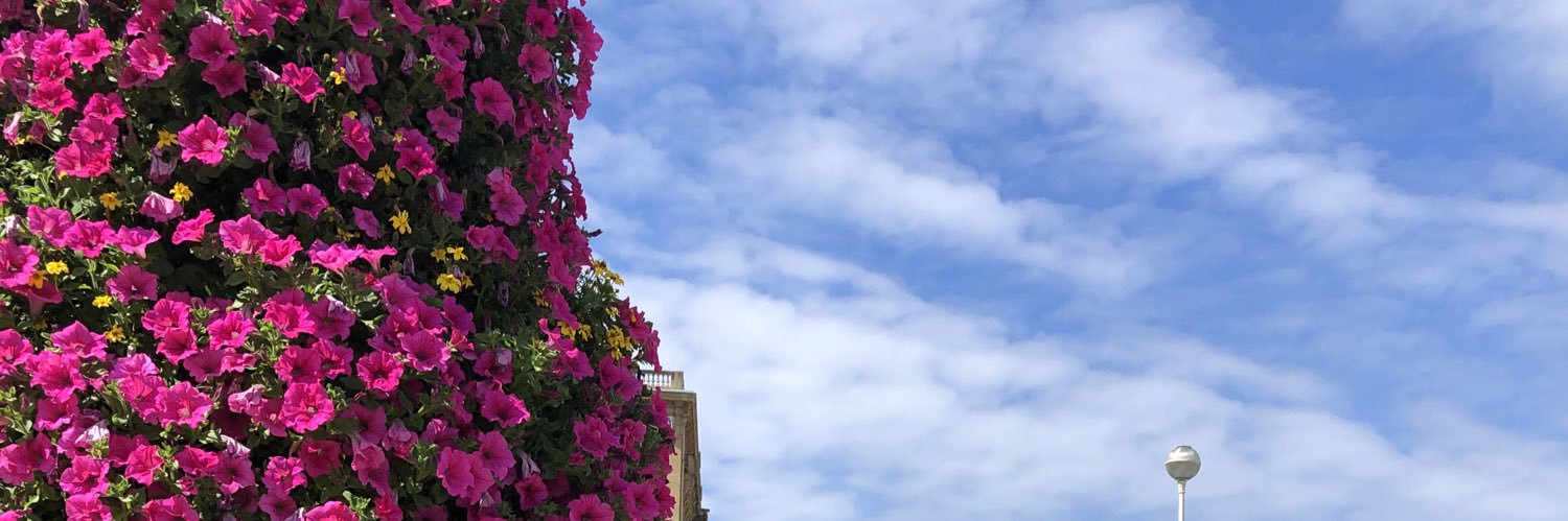 LucilePerson_'s profile banner image