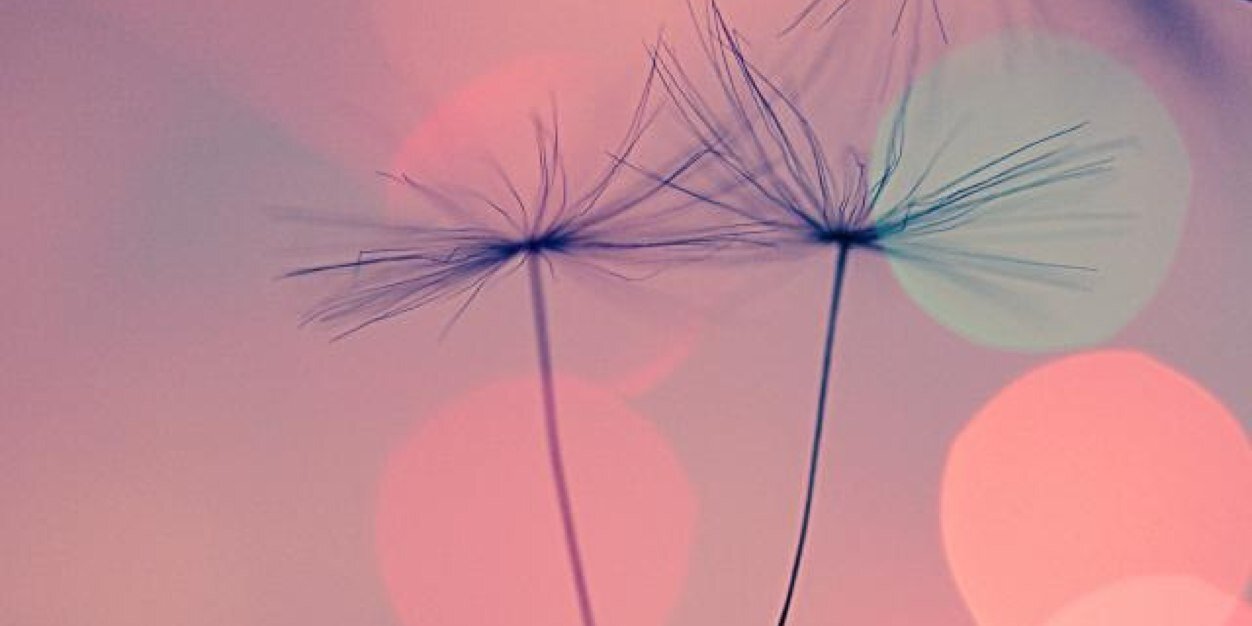 Maca Ponce B  banner