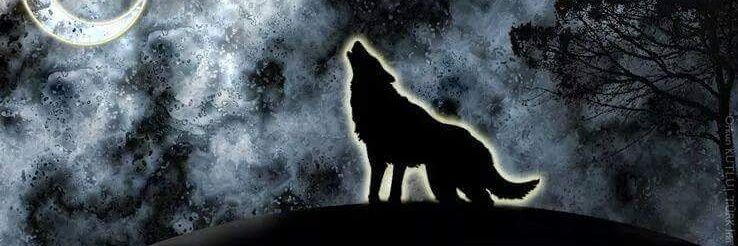 onsoy66's profile banner image