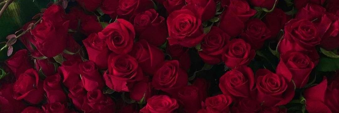 RZ____10's profile banner image