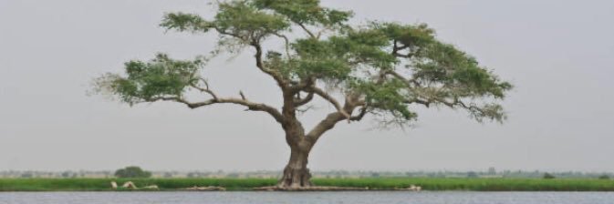 JILSNDER's profile banner image