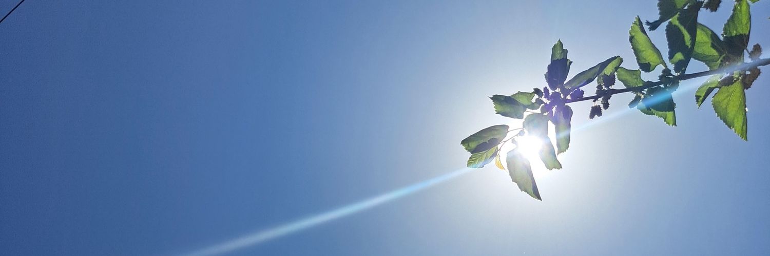 ฮุ่งเฮือง banner