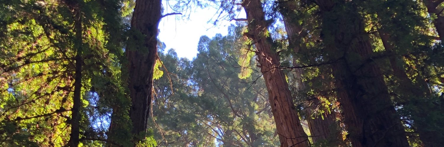 Mtgoulding's profile banner image