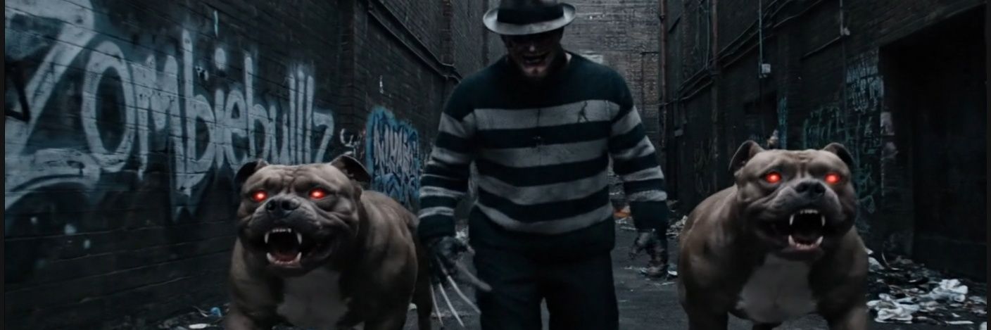 Admiral GucciDog #zombiebullz #ZSHQ's banner