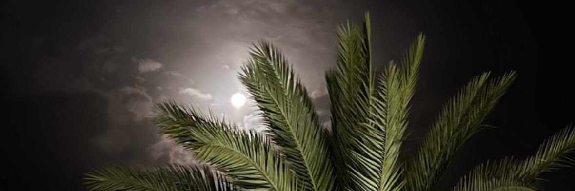 rf_m32's profile banner image